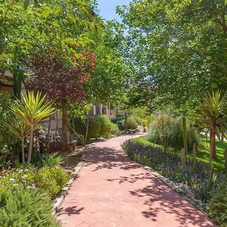 Luxury Golf, Pool & Pet Retreat - Happy